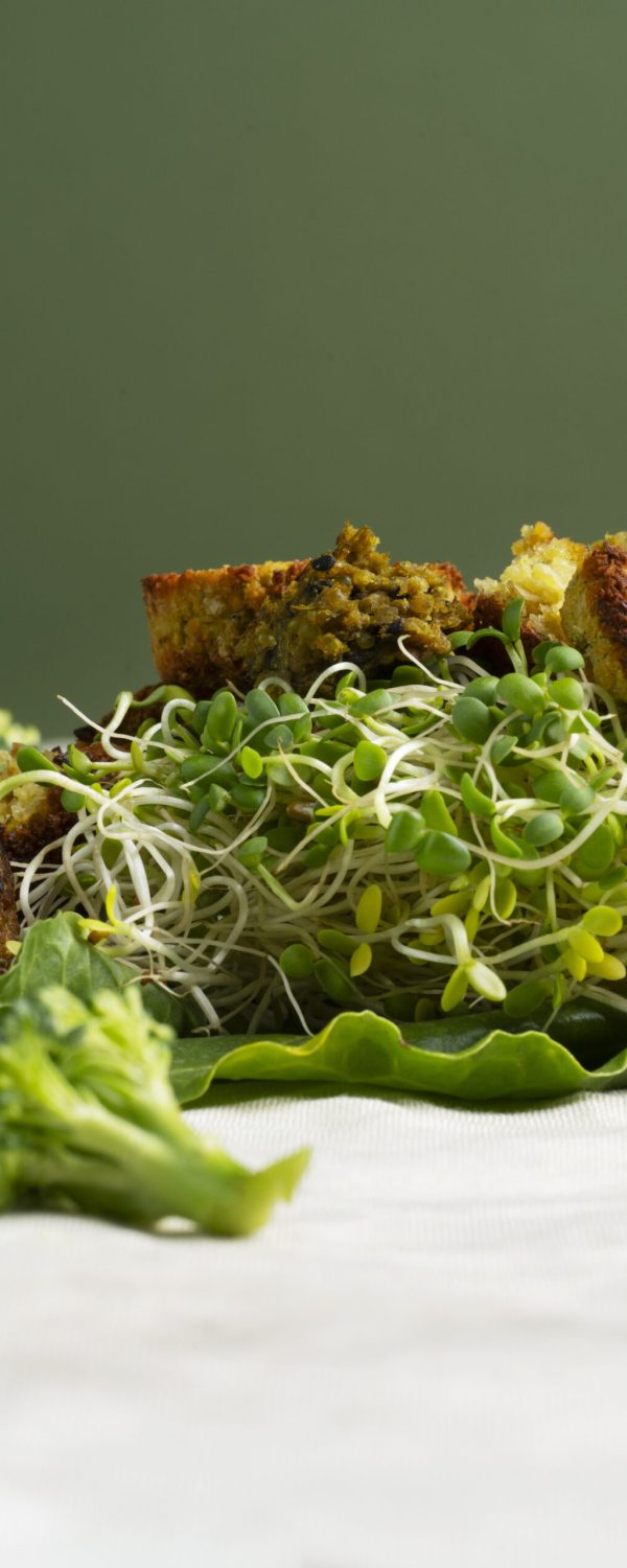 delicious-veggie-dishes-still-life